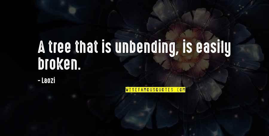 La Camara Secreta Quotes By Laozi: A tree that is unbending, is easily broken.