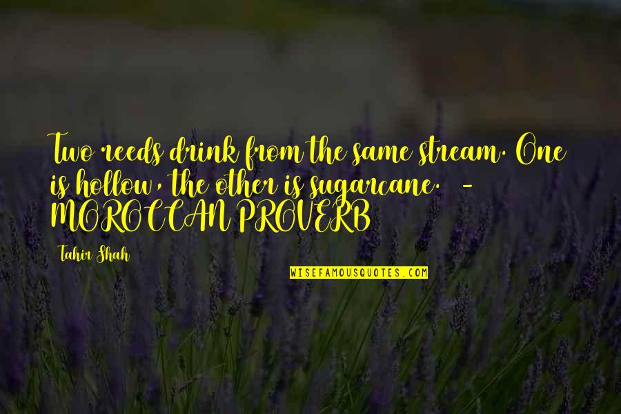 La Cornue Reviews Quotes By Tahir Shah: Two reeds drink from the same stream. One La Cornue Reviews Quotes By Tahir Shah: Two reeds drink from the same stream. One