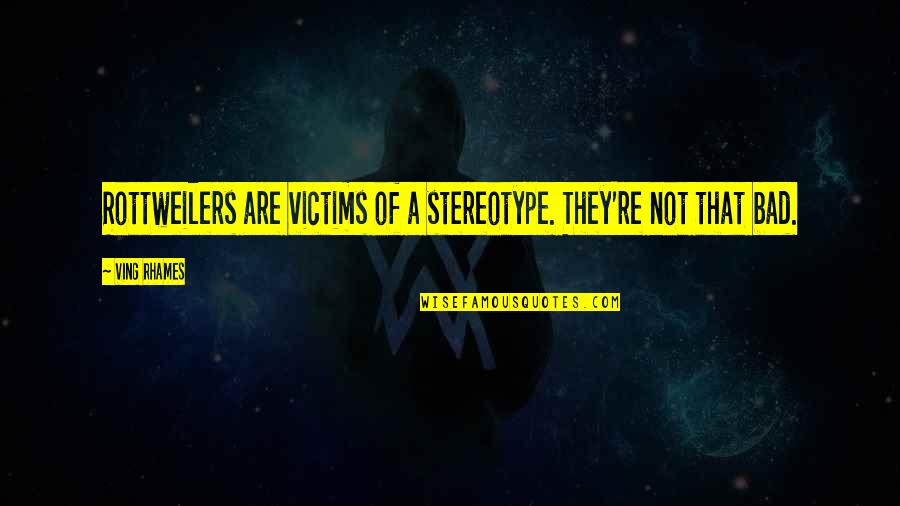 La Grande Bellezza Best Quotes By Ving Rhames: Rottweilers are victims of a stereotype. They're not