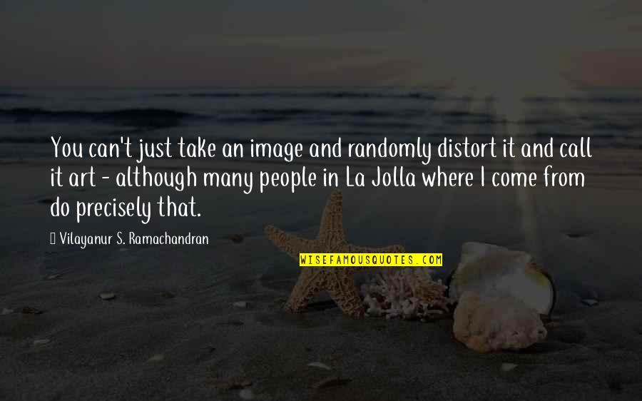 La Jolla Quotes By Vilayanur S. Ramachandran: You can't just take an image and randomly