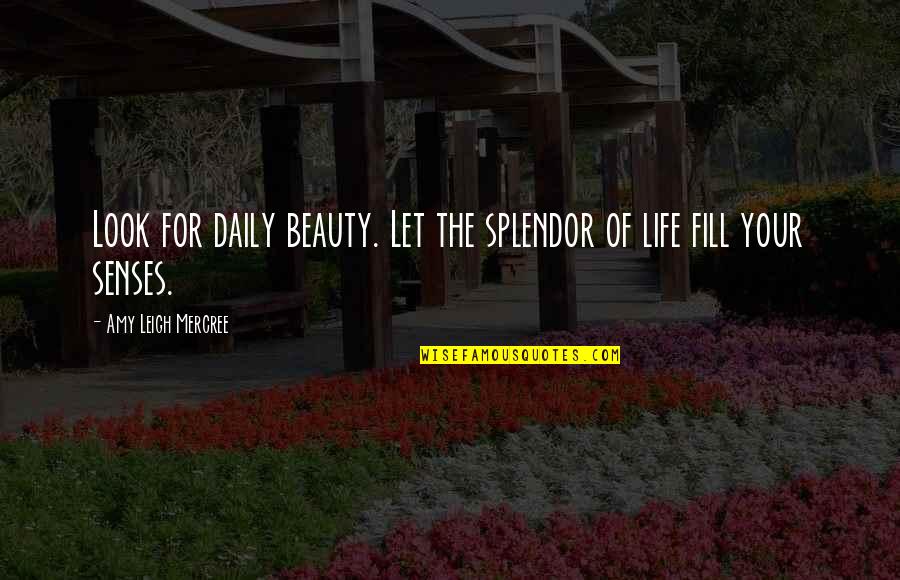 La Life Quotes By Amy Leigh Mercree: Look for daily beauty. Let the splendor of