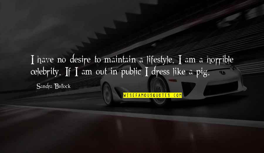 La Mort Heureuse Quotes By Sandra Bullock: I have no desire to maintain a lifestyle.