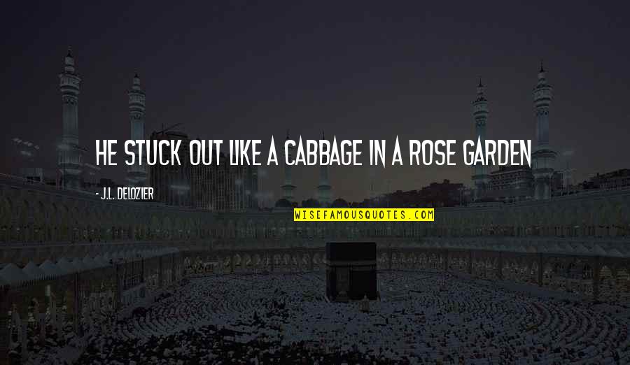 La Mujer Quotes By J.L. Delozier: He stuck out like a cabbage in a La Mujer Quotes By J.L. Delozier: He stuck out like a cabbage in a