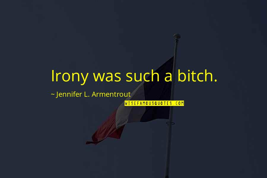 La Nonna Quotes By Jennifer L. Armentrout: Irony was such a bitch.