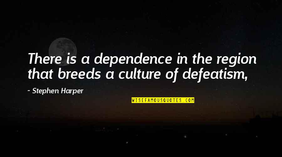 Laatste Peiling Quotes By Stephen Harper: There is a dependence in the region that