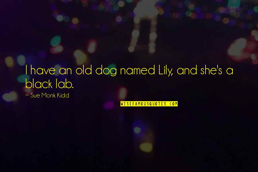 Lab Dog Quotes By Sue Monk Kidd: I have an old dog named Lily, and