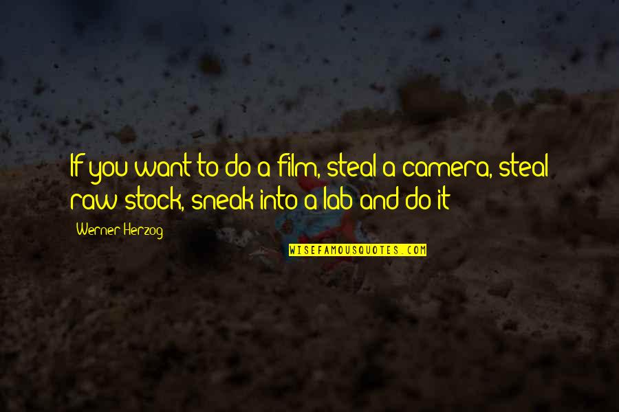 Lab Quotes By Werner Herzog: If you want to do a film, steal