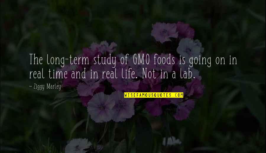 Lab Quotes By Ziggy Marley: The long-term study of GMO foods is going