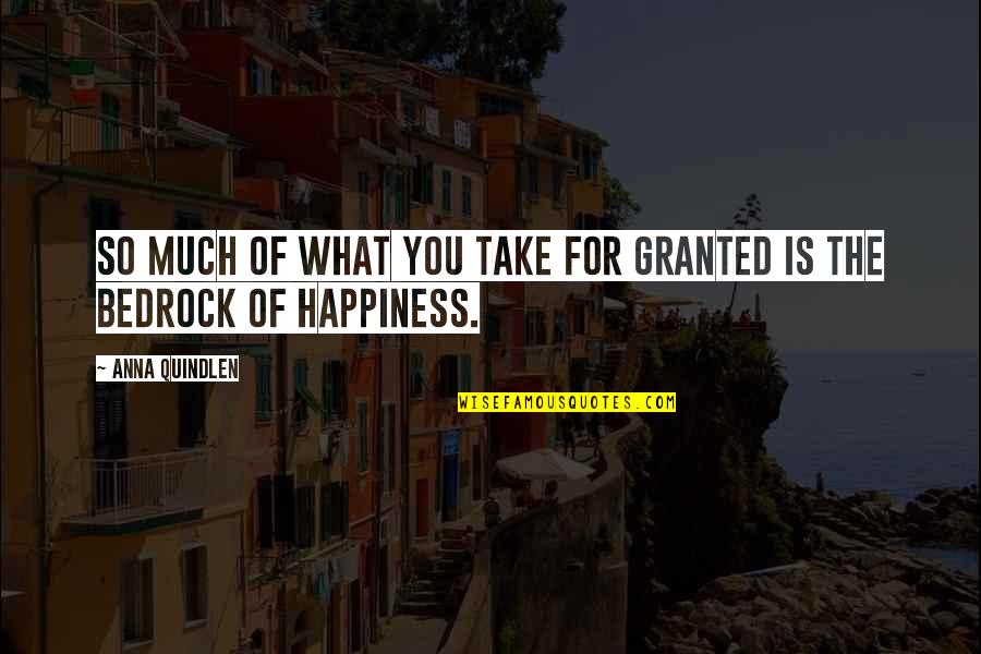 Labba Guyana Quotes By Anna Quindlen: So much of what you take for granted