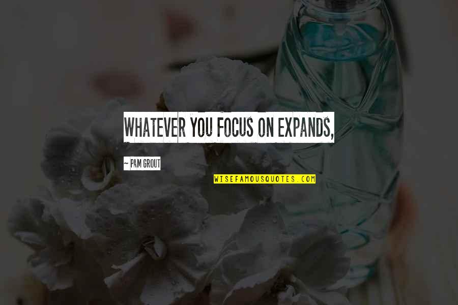 Labellys Quotes By Pam Grout: Whatever you focus on expands, Labellys Quotes By Pam Grout: Whatever you focus on expands,