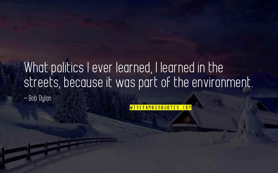 Labias Quotes By Bob Dylan: What politics I ever learned, I learned in Labias Quotes By Bob Dylan: What politics I ever learned, I learned in