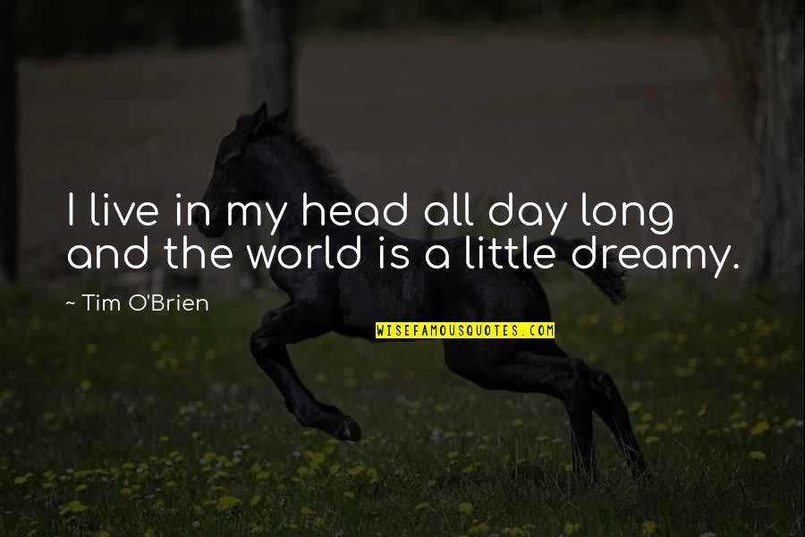 Labibar Quotes By Tim O'Brien: I live in my head all day long