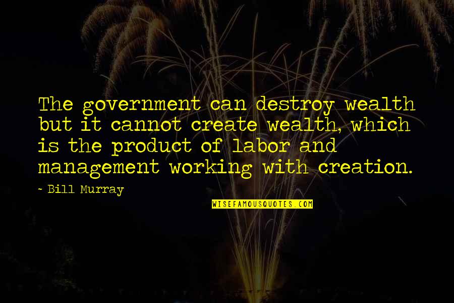 Labor And Management Quotes By Bill Murray: The government can destroy wealth but it cannot