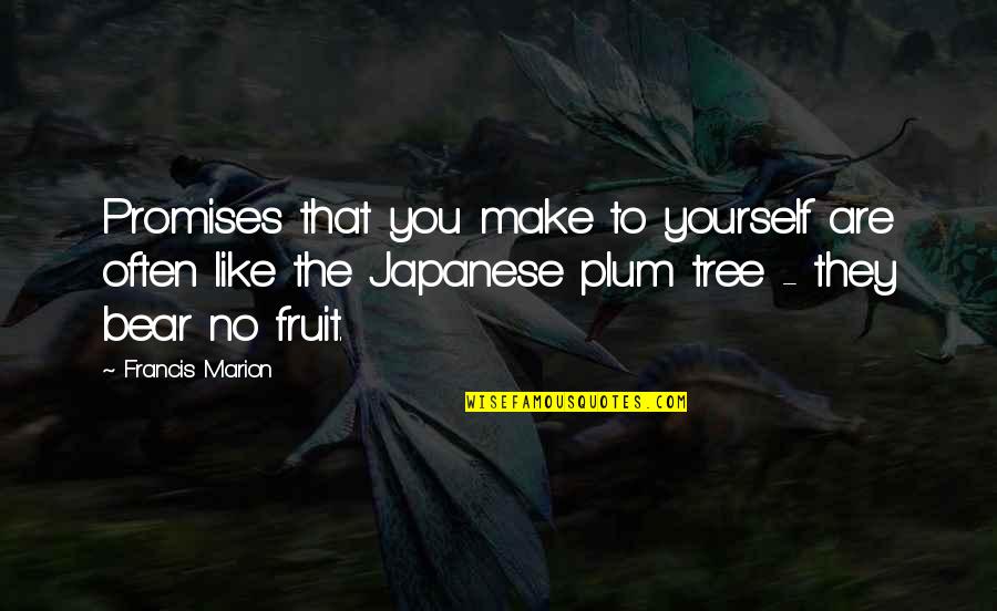 Labor Union Quotes By Francis Marion: Promises that you make to yourself are often Labor Union Quotes By Francis Marion: Promises that you make to yourself are often