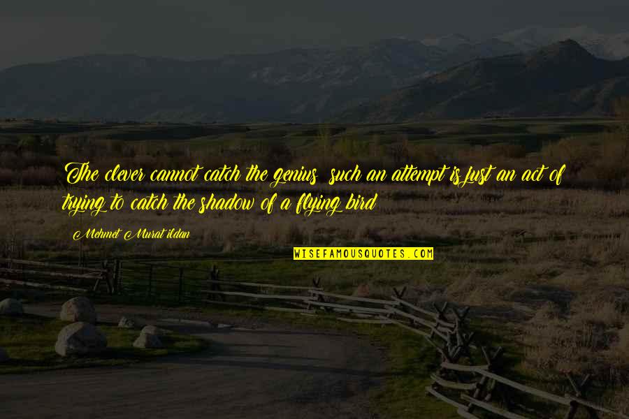 Laboriosidad Que Quotes By Mehmet Murat Ildan: The clever cannot catch the genius; such an