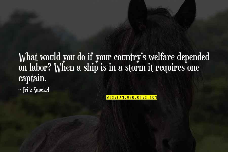 Labor's Quotes By Fritz Sauckel: What would you do if your country's welfare