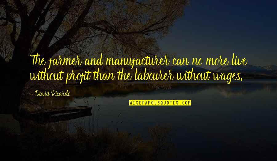 Labourer Quotes By David Ricardo: The farmer and manufacturer can no more live