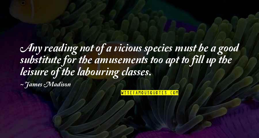 Labouring Quotes By James Madison: Any reading not of a vicious species must