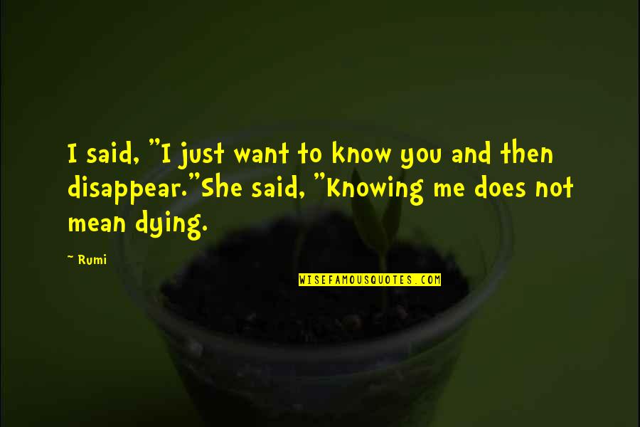 Labradors Near Quotes By Rumi: I said, "I just want to know you Labradors Near Quotes By Rumi: I said, "I just want to know you