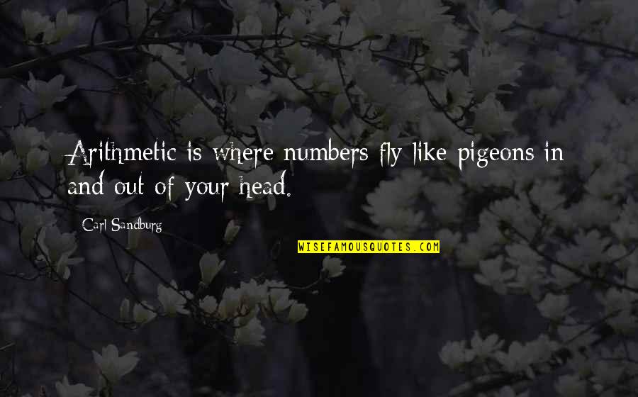 Labute Grocery Quotes By Carl Sandburg: Arithmetic is where numbers fly like pigeons in
