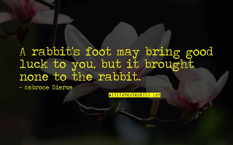 Lace Shirley Conran Quotes By Ambrose Bierce: A rabbit's foot may bring good luck to
