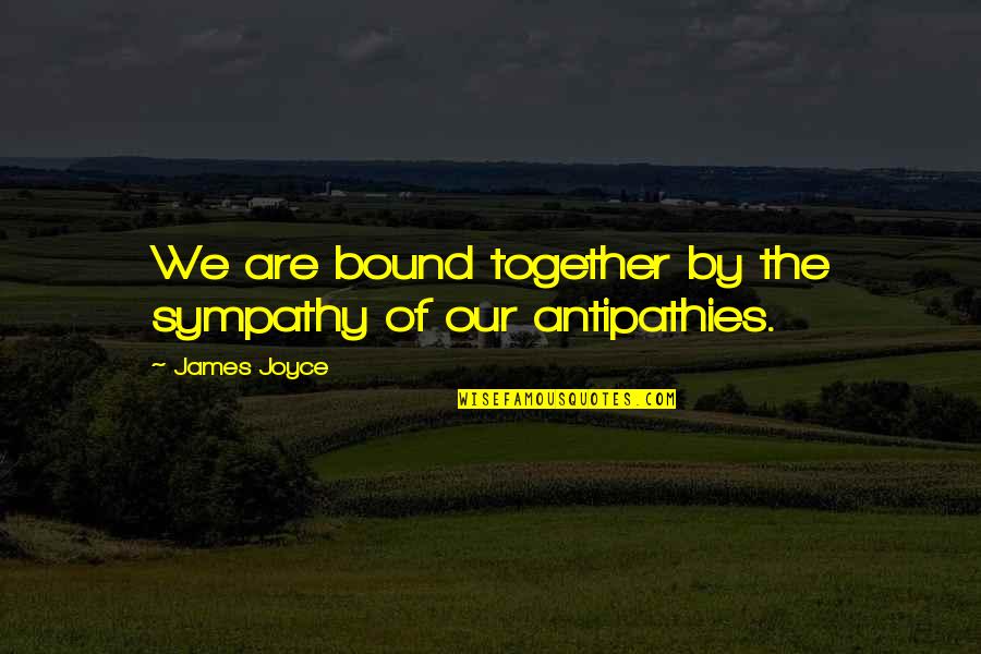 Lachenmann Mouvement Quotes By James Joyce: We are bound together by the sympathy of