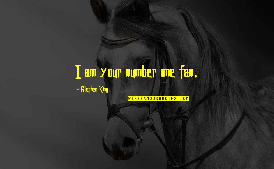 Lachmann New Testament Quotes By Stephen King: I am your number one fan.