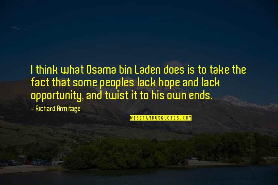 Lack Of Hope Quotes By Richard Armitage: I think what Osama bin Laden does is