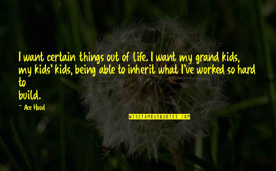 Laconicum Quotes By Ace Hood: I want certain things out of life. I Laconicum Quotes By Ace Hood: I want certain things out of life. I