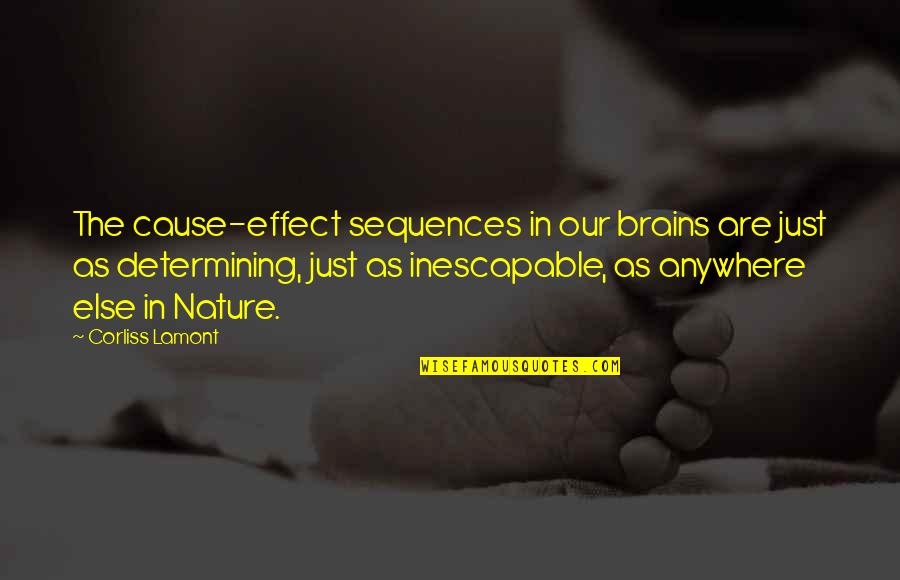 Lacquers Stains Quotes By Corliss Lamont: The cause-effect sequences in our brains are just Lacquers Stains Quotes By Corliss Lamont: The cause-effect sequences in our brains are just