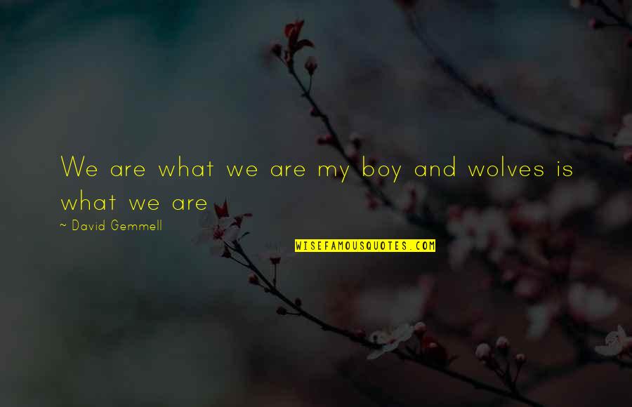 Ladanian Quotes By David Gemmell: We are what we are my boy and