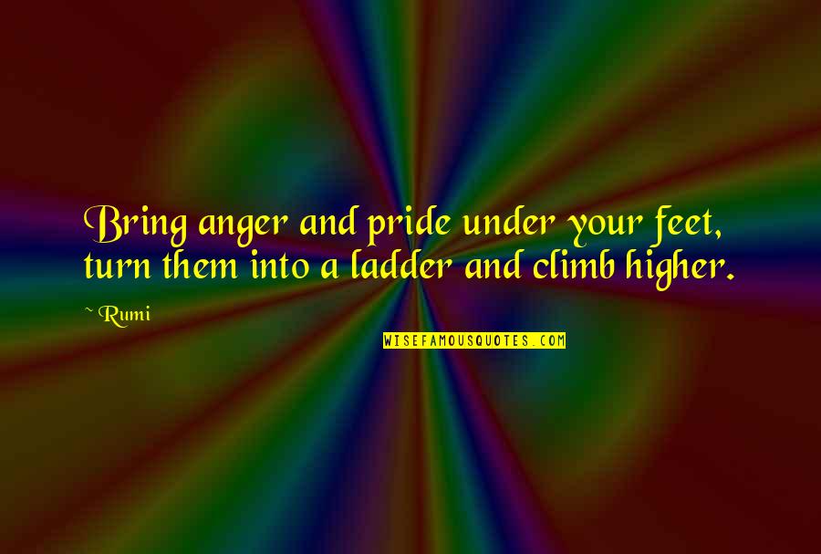 Ladder Climb Quotes By Rumi: Bring anger and pride under your feet, turn