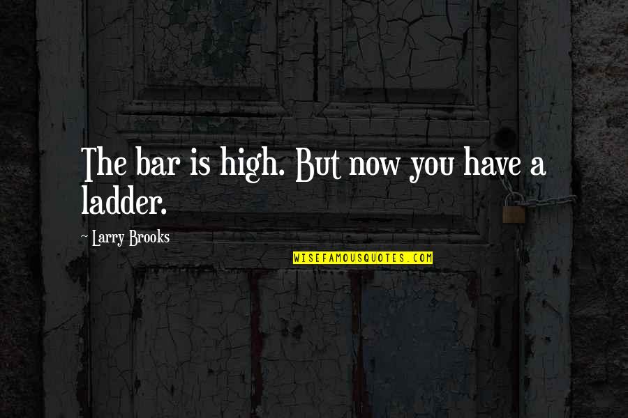 Ladder Love Quotes By Larry Brooks: The bar is high. But now you have