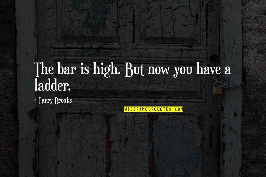 Ladder The Quotes By Larry Brooks: The bar is high. But now you have