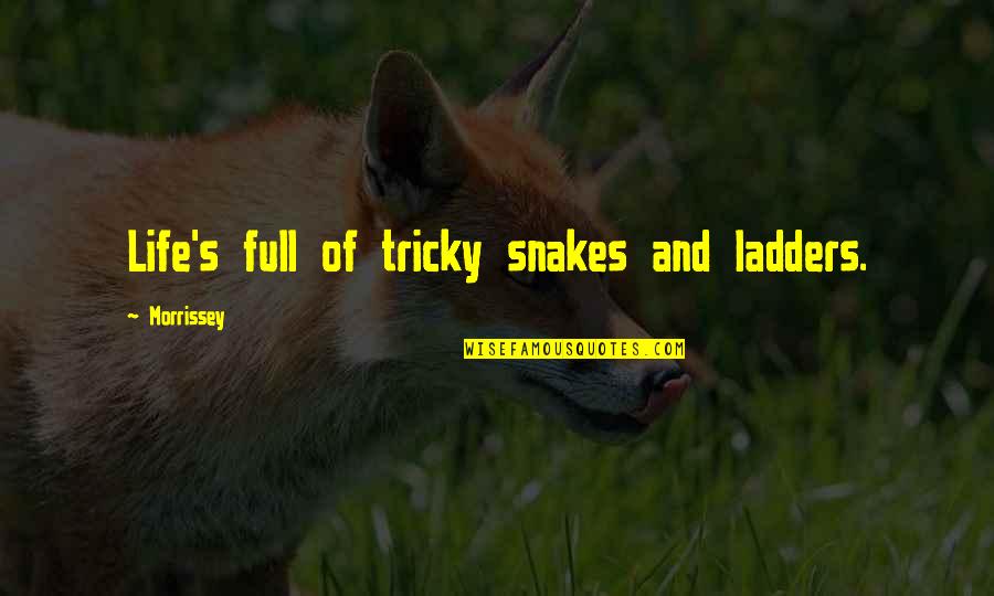 Ladders And Life Quotes By Morrissey: Life's full of tricky snakes and ladders. Ladders And Life Quotes By Morrissey: Life's full of tricky snakes and ladders.