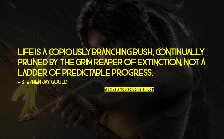 Ladders And Life Quotes By Stephen Jay Gould: Life is a copiously branching bush, continually pruned Ladders And Life Quotes By Stephen Jay Gould: Life is a copiously branching bush, continually pruned