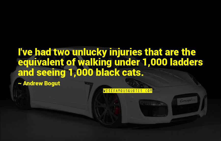Ladders Quotes By Andrew Bogut: I've had two unlucky injuries that are the Ladders Quotes By Andrew Bogut: I've had two unlucky injuries that are the