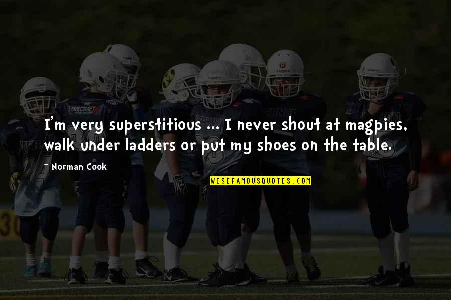 Ladders Quotes By Norman Cook: I'm very superstitious ... I never shout at Ladders Quotes By Norman Cook: I'm very superstitious ... I never shout at