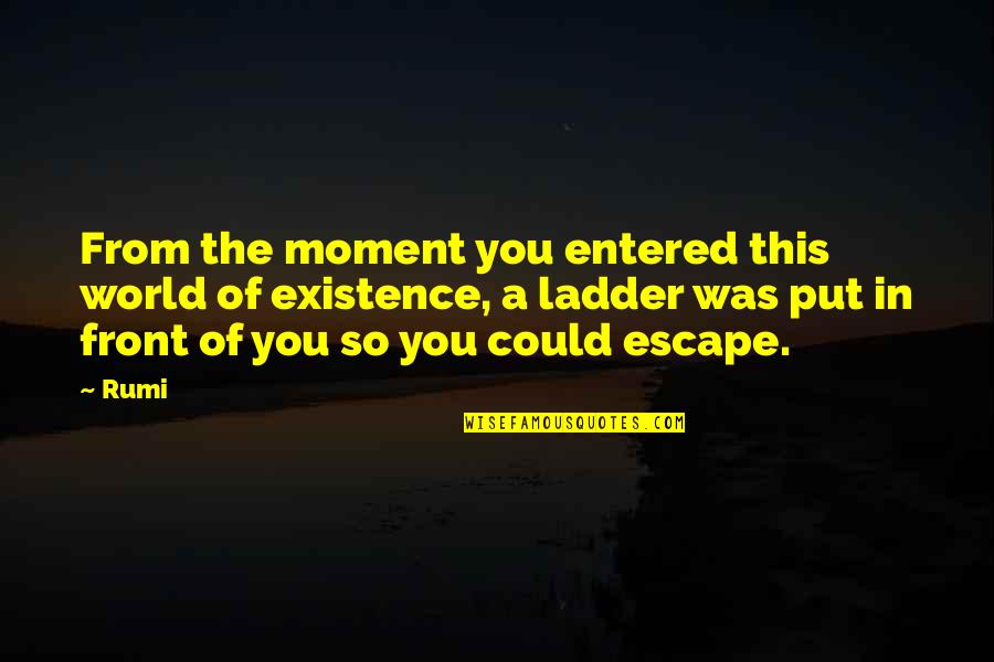 Ladders Quotes By Rumi: From the moment you entered this world of Ladders Quotes By Rumi: From the moment you entered this world of
