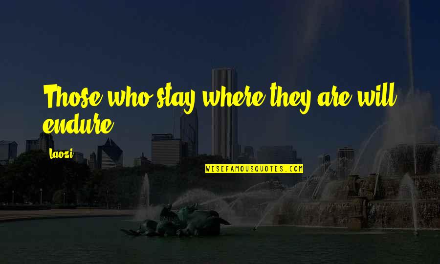 Lade Quotes By Laozi: Those who stay where they are will endure.