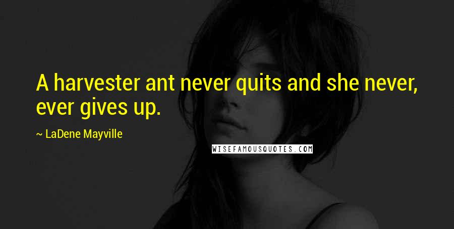 LaDene Mayville quotes: A harvester ant never quits and she never, ever gives up.