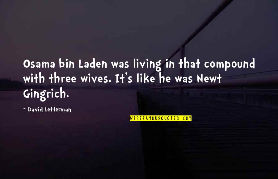 Laden's Quotes By David Letterman: Osama bin Laden was living in that compound