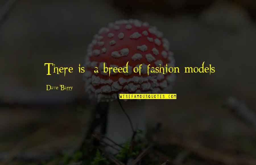 Ladies Birthday Quotes By Dave Barry: [There is] a breed of fashion models