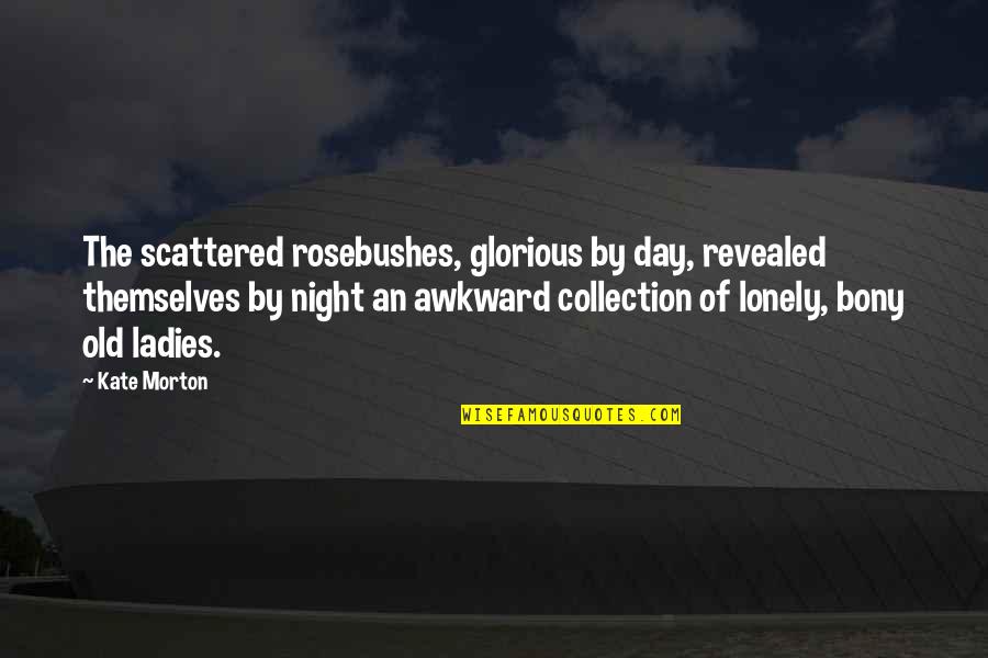 Ladies Night In Quotes By Kate Morton: The scattered rosebushes, glorious by day, revealed themselves Ladies Night In Quotes By Kate Morton: The scattered rosebushes, glorious by day, revealed themselves