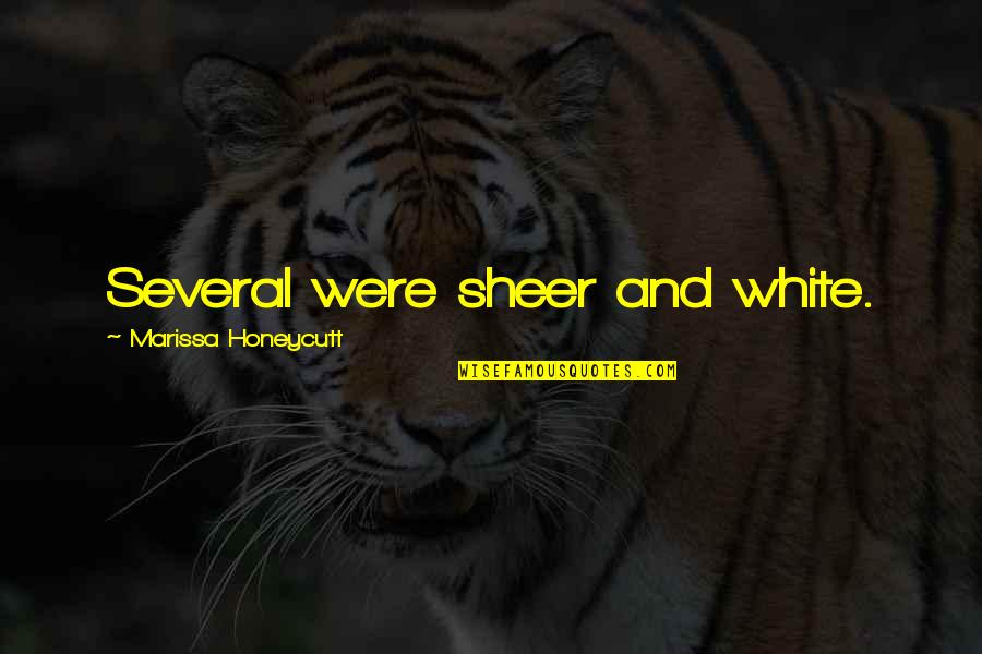 Ladigesia Quotes By Marissa Honeycutt: Several were sheer and white. Ladigesia Quotes By Marissa Honeycutt: Several were sheer and white.