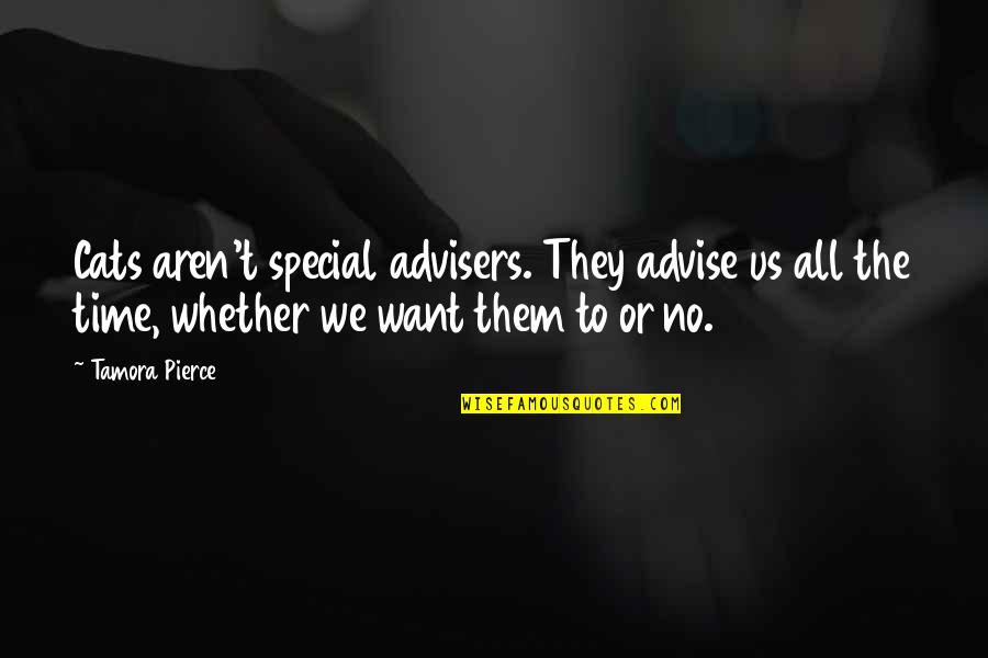 Lading Bill Quotes By Tamora Pierce: Cats aren't special advisers. They advise us all