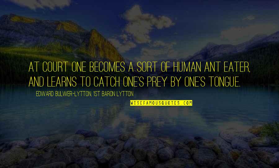 Ladislau Albert Quotes By Edward Bulwer-Lytton, 1st Baron Lytton: At court one becomes a sort of human Ladislau Albert Quotes By Edward Bulwer-Lytton, 1st Baron Lytton: At court one becomes a sort of human