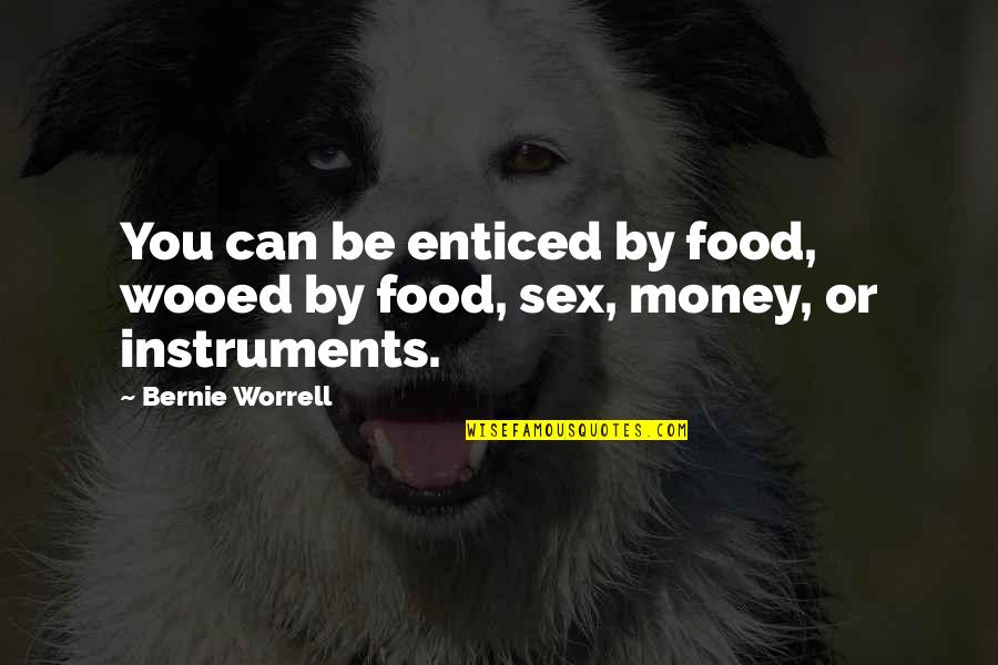 Lady Boss Quotes By Bernie Worrell: You can be enticed by food, wooed by