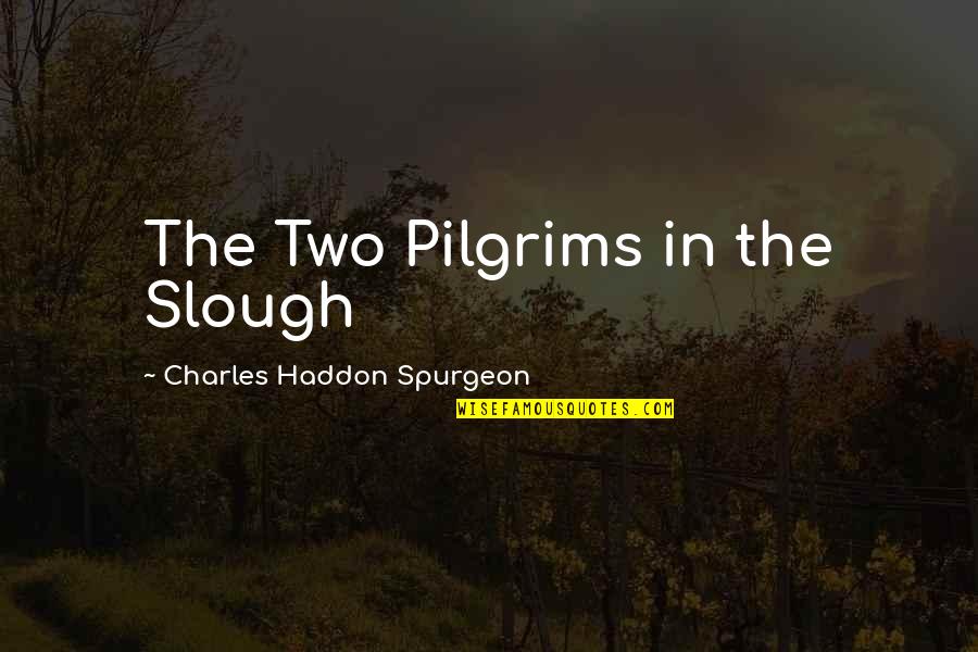 Lady Christina De Souza Quotes By Charles Haddon Spurgeon: The Two Pilgrims in the Slough