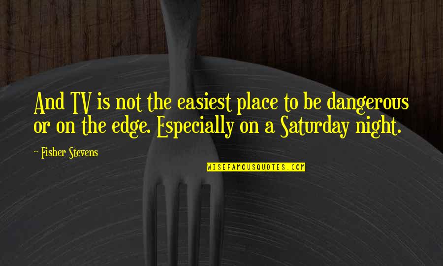 Lady Clementine Quotes By Fisher Stevens: And TV is not the easiest place to